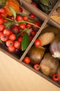 autumn taste, rose hips, chestnuts and red berries Royalty Free Stock Photo