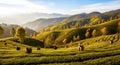 AI-generated Autumn Tea Gardens of Darjeeling Hills Royalty Free Stock Photo
