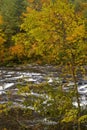 Autumn, Tellico River, Cherokee NF