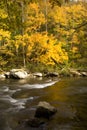 Autumn, Tellico River, Cherokee NF