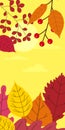 Autumn template of autumn fallen leaves orange yellow foliage. Backgrounds social media stories banners. Template for Royalty Free Stock Photo