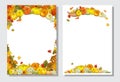 Autumn templates whith cornucopia, pumpkins on white background Royalty Free Stock Photo