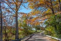 Autumn in Texas - country road