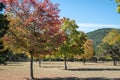 Autumn in Texas