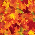Autumn texture. Fall pattern. Wallpaper with maple leaves. Royalty Free Stock Photo