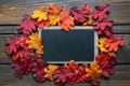 Autumn Thanksgiving background and frame with leaves and small pumpkins surrounding the frame Royalty Free Stock Photo