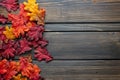 Autumn Thanksgiving background and frame with leaves and small pumpkins surrounding the frame Royalty Free Stock Photo