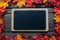 Autumn Thanksgiving background and frame with leaves and small pumpkins surrounding the frame Royalty Free Stock Photo