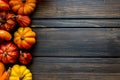 Autumn Thanksgiving background and frame with leaves and small pumpkins surrounding the frame Royalty Free Stock Photo