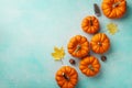 Autumn Thanksgiving background. Pumpkins and maple leaves on turquoise table top view Royalty Free Stock Photo