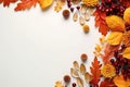 Autumn Thanksgiving Colorful Setting Background