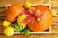 Autumn thanksgiving composition with assorted pumpkins in a box on wooden table