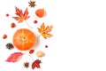 Autumn or thanksgiving composition made of autumn leaves, flowers, pumpkin, berries isolated on white background