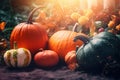 Autumn Thanksgiving day background. Pumpkins, gourds, squashes. Beauty Holiday autumn festival concept. Fall scene. Royalty Free Stock Photo