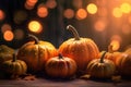 Autumn thanksgiving day pumpkins background. Royalty Free Stock Photo