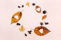 Autumn, thanksgiving day and winter concept. Dried leaves of heart shape and pine cones on pastel pink studio background