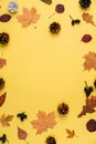 Autumn, thanksgiving day and winter concept. Vertical images of little dried leaves, pine cone on yellow studio background