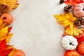Autumn, thanksgiving, fall abstract background with colorful leaves, pine cones and pumpkins on bright background, copy space Royalty Free Stock Photo