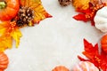 Autumn, thanksgiving, fall abstract background with colorful leaves, pine cones and pumpkins on bright background, copy space Royalty Free Stock Photo