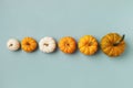 Autumn Thanksgiving holiday background from pumpkins top view. Harvest, fall and halloween minimal composition