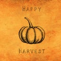 Autumn and thanksgiving orange textured background with hand painted pumpkin. Minimal art seasonal concept. Greeting card and