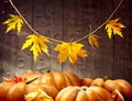 Autumn Thanksgiving pumpkins over wooden background Royalty Free Stock Photo