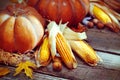 Autumn Thanksgiving pumpkins over wooden background Royalty Free Stock Photo