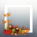 Autumn Thanksgiving Samhain Nature Background Design