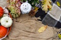 Autumn thanksgiving still life picnic with pumpkins and flowers Royalty Free Stock Photo
