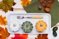 Autumn Thanksgiving table setting for dinner with plate,fork decorated pumpkins. Top view Royalty Free Stock Photo