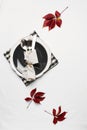 Autumn thansgiving and halloween tableware flat lay with plate and leaves on white background