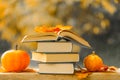 Autumn thematic reading. Books and pumpkins set in autumn garden .Start school and college season concept.Books on the Royalty Free Stock Photo