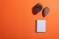 Autumn theme with blank notepad, pine cones and copy space Royalty Free Stock Photo