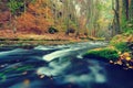 Autumn theme. The mountain river with colorful leaves Royalty Free Stock Photo