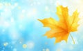 An autumn-themed design with a yellow maple leaf in sharp focus against a colorful bokeh background. Royalty Free Stock Photo