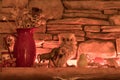 Autumn themed fireplace mantel display bathed in warm light with owls, pumpkin, fall harvest fruit, apple and pear candles, scarec