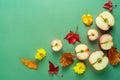 Autumn themed flat lay design of fresh aplle halves and various leaves on green background