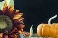 Autumn themed still life with black background