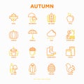 Autumn thin line icons set: maple, mushrooms, oak leaves, apple, pumpkin, umbrella, rain, candles, acorn, rubber boots, raincoat,