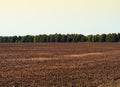 Autumn tillage field landscape background