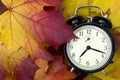 Autumn time Royalty Free Stock Photo