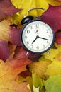 Autumn time Royalty Free Stock Photo