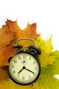 Autumn time Royalty Free Stock Photo