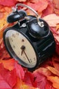 Autumn time. Royalty Free Stock Photo
