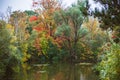 Autumn time background. Small lake and autumn leaves on trees. Fall colours. Silent water. Traveling, pictures, nature park