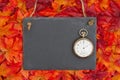 Autumn time with a chalkboard with retro pocket watch and fall l