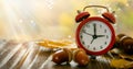 Autumn time change concept - red alarm clock on wood background Royalty Free Stock Photo