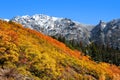 Autumn time in Colorado near Ourey