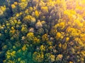 Autumn time colorful forest from above Royalty Free Stock Photo