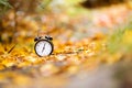 Autumn time or Fall time concept. Vintage Alarm clock black color in the autumn background Royalty Free Stock Photo